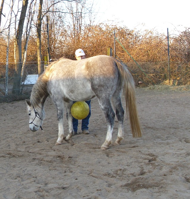 Ein Kinderhüpfball