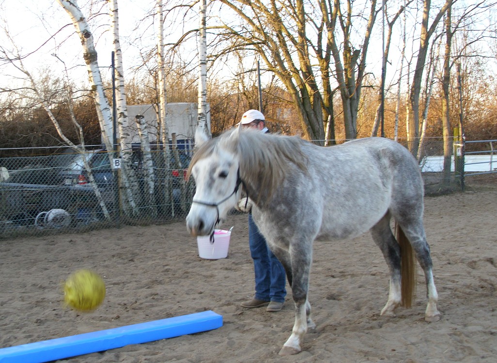 Hüpfball