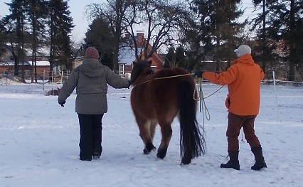 Fahrübungen