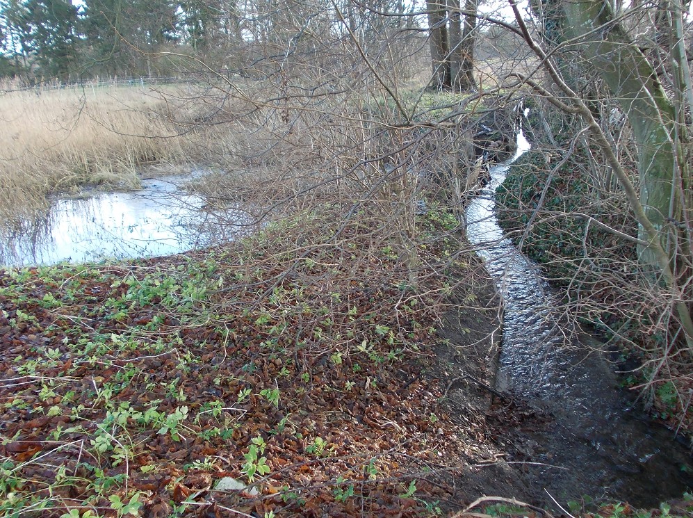 Bachlauf
