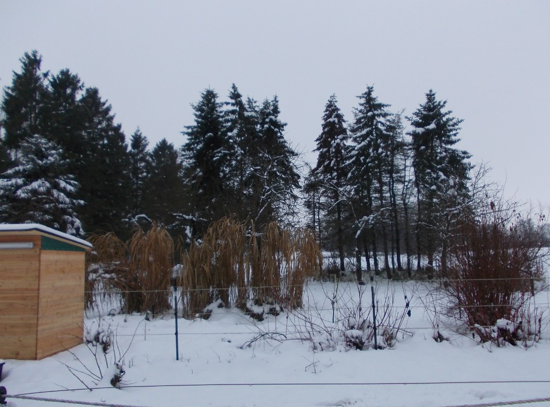 winter
