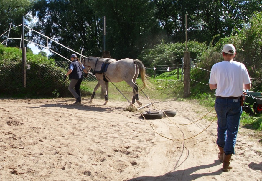 abschleppen