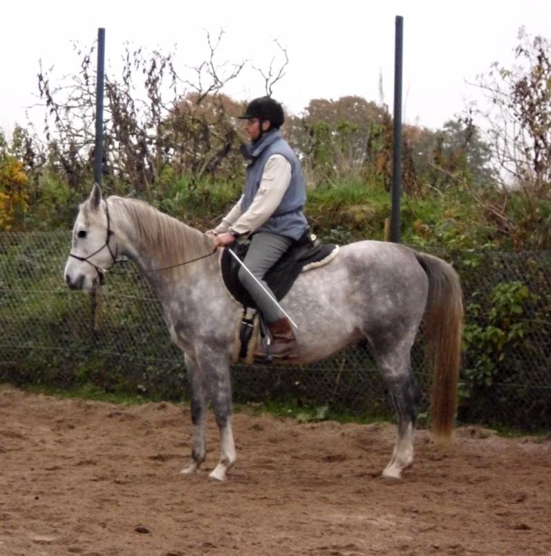 Elmi und Rolf im Unterricht