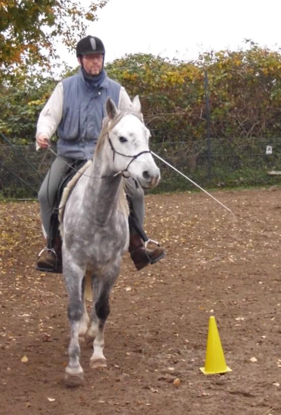Elmi und Rolf im Unterricht