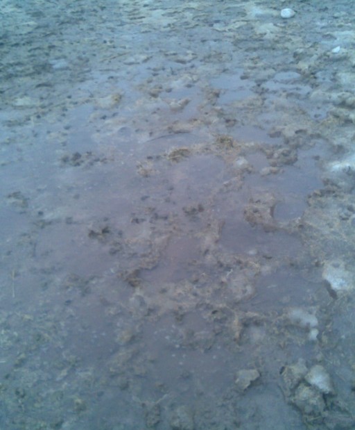 Tauwetter