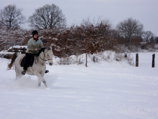 Galopp im Schnee