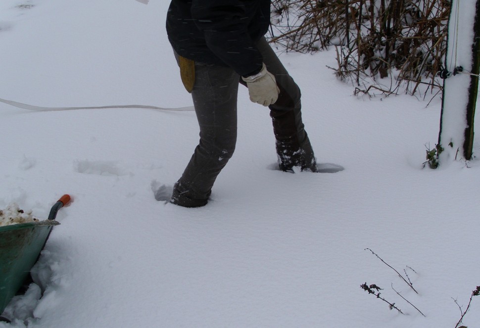 Gehen im Schnee