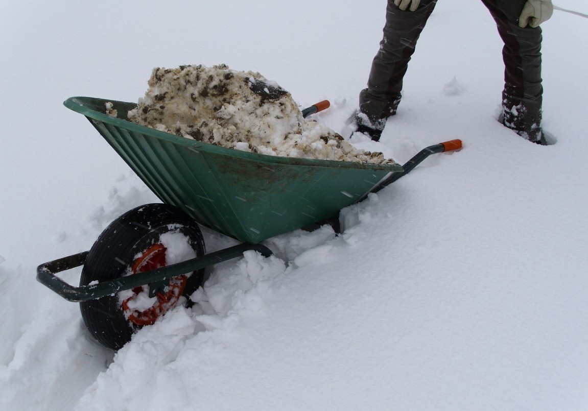 Die Mistkarre versackt im Schnee