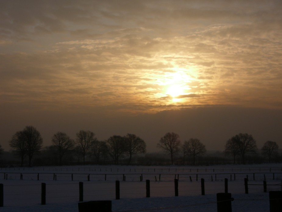 Morgenstimmung