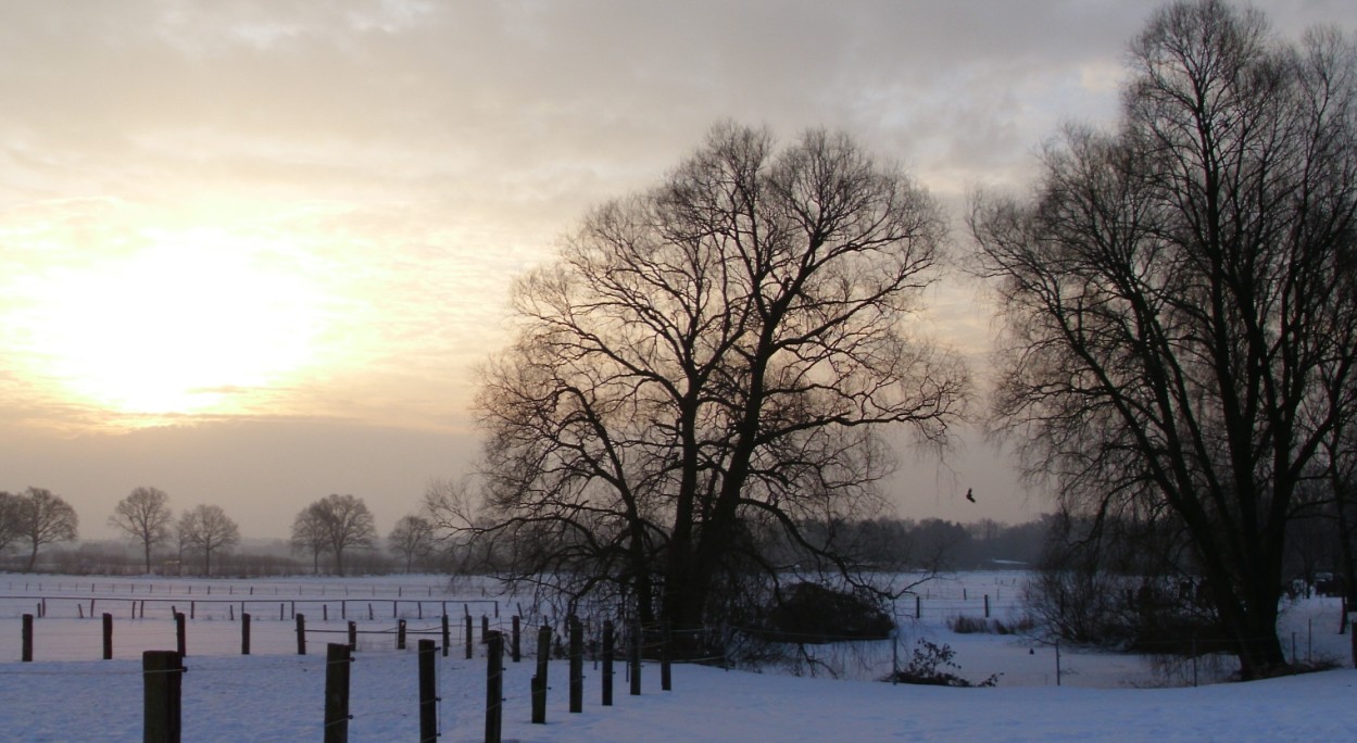 Morgenstimmung