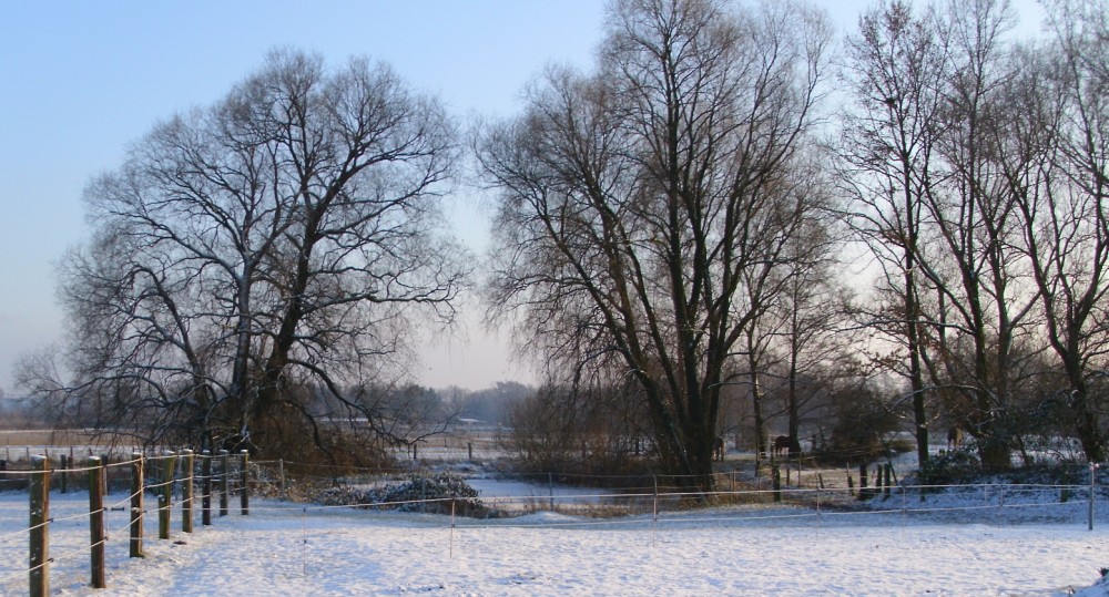 Schneelandschaft