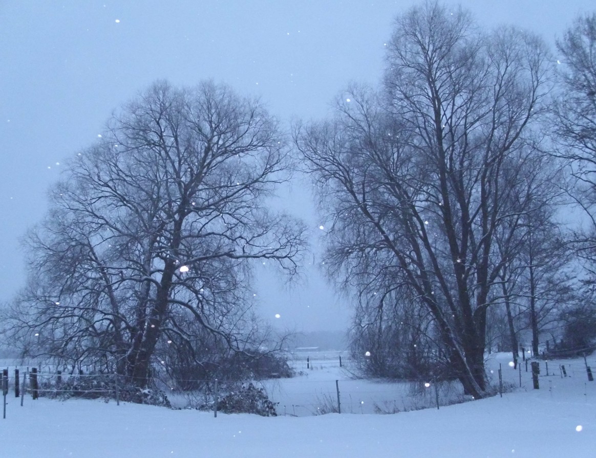 Schnee